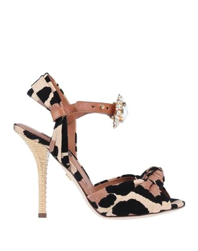 Dolce & Gabbana Sandals In Brown