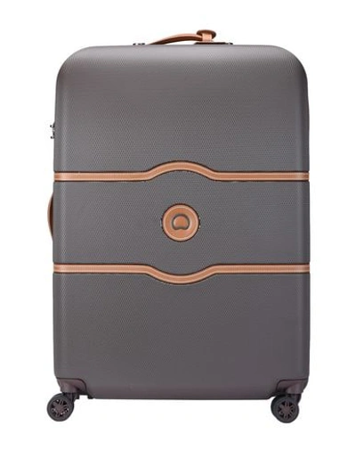 Delsey Wheeled Luggage In Cocoa