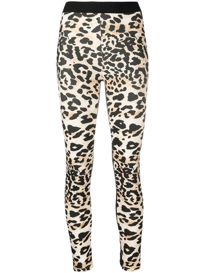 Rabanne Leopard Print Leggings In Multi