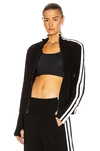 Norma Kamali Striped Webbing-trimmed Stretch-velvet Track Jacket In Black & Offset Stripe