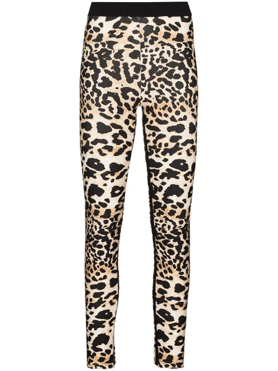 Rabanne Leopard Printed Viscose Jersey Leggings In Beige/black