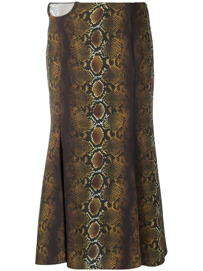 Versace Snake-print Mid-length Skirt In Brown