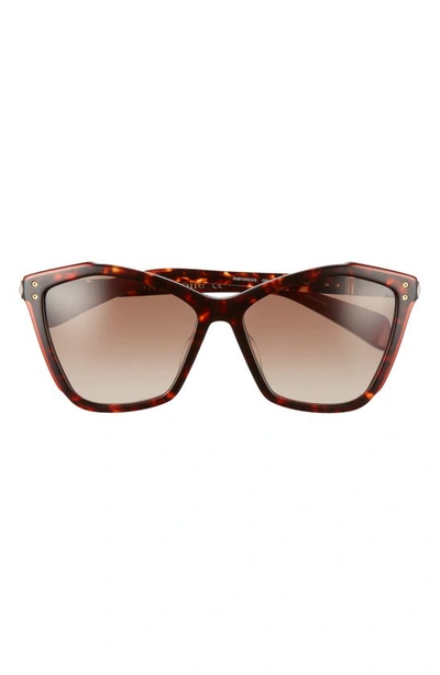 Rag & Bone 57mm Cat Eye Sunglasses In Orange Havana/brown