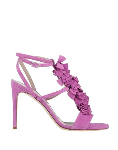 Alberto Gozzi Sandals In Mauve