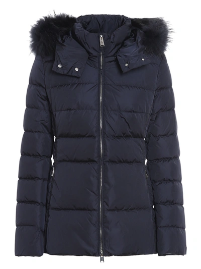 Add Blue Quilted Short Ped Jacket