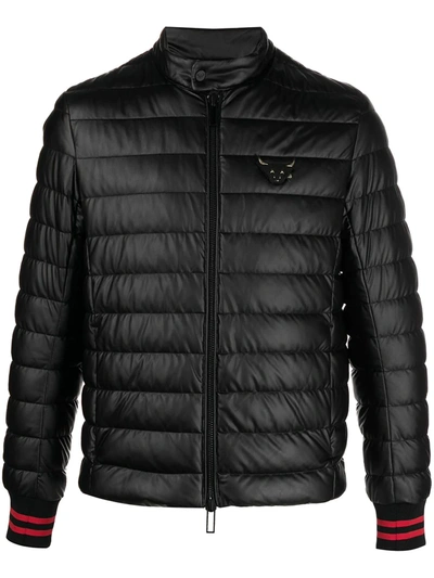 Emporio Armani Zipped Padded Jacket In Black