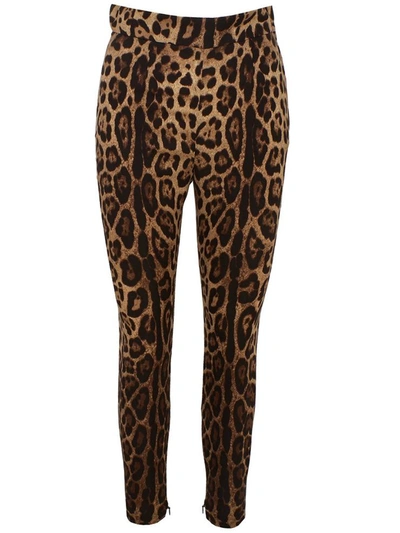 Dolce & Gabbana Leopard-print Pants In Brown