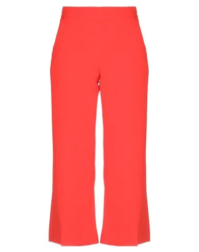 Rose A Pois Casual Pants In Coral