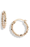 NASHELLE MUSE DOTTED 14K-GOLD FILL SMALL HOOP EARRINGS,MUE24.G