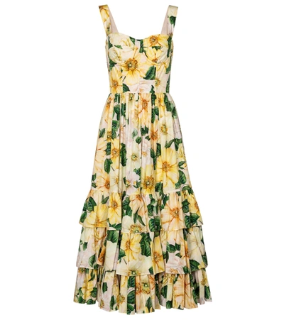 Dolce & Gabbana Camellia Print Cotton Poplin Midi Dress In Yellow,pink,green