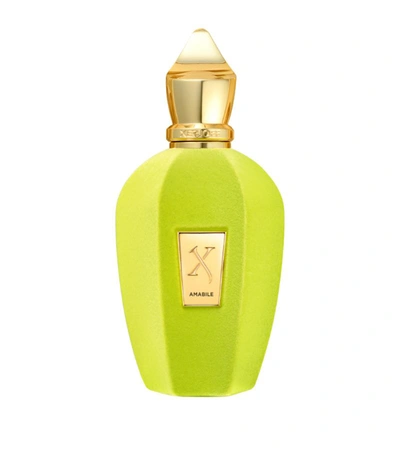 Xerjoff Amabile Eau De Parfum (100ml) In White