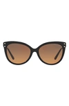 Michael Kors 55mm Gradient Cat Eye Sunglasses In Black/ Brown Gradient
