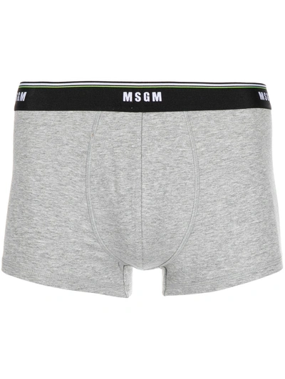 Msgm Logo Waistband Briefs In Grey