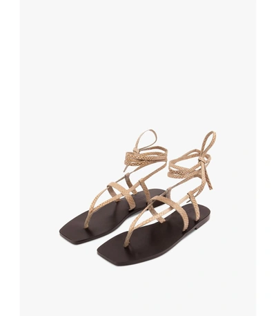 A.emery The James Sandal In Beige/black