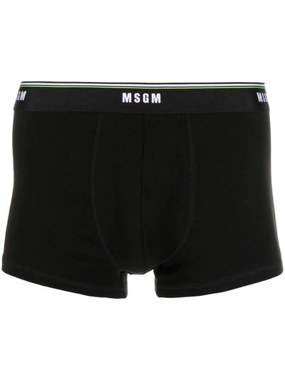 Msgm Logo Waistband Briefs In Black