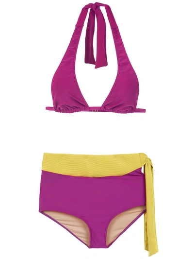 Adriana Degreas Hot Pants Bikini Set In Purple
