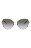 TIFFANY & CO 59MM GRADIENT BUTTERFLY SUNGLASSES,TF307259-Y