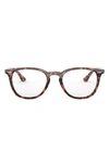 Ray Ban 50mm Optical Glasses In Shiny Pink Havana