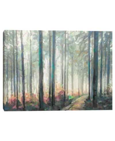 Fine Art Canvas Woodland Journey By Studio Arts Canvas Art Print In Multi