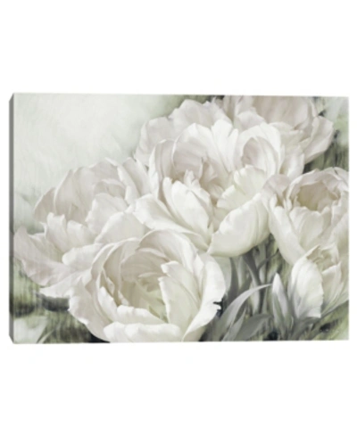 Fine Art Canvas Angelique Tulips Ii White By Igor Levashov Canvas Art Print In Multi