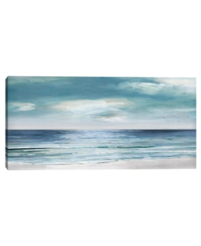 Fine Art Canvas Blue Silver Shore By Sally Swatland Canvas Art Print In Multi