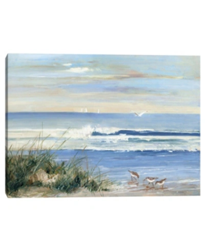 Fine Art Canvas Beachcombers By Sally Swatland Canvas Art Print In Multi