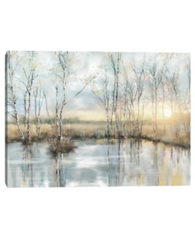 Fine Art Canvas Calm Reflections By Studio Arts Canvas Art Print In Multi