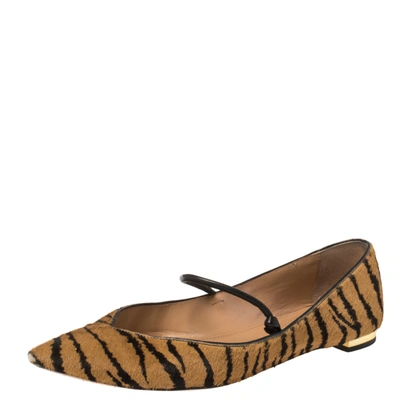 Pre-owned Aquazzura Tan Tiger Print Calfhair Mary Jane Pointed Toe Flats Size 37.5