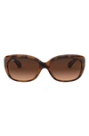 Ray Ban 'classic' 58mm Sunglasses In Havana/ Pink Brown Gradient