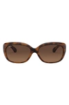 Ray Ban Women's Rb4101 58mm Square Sunglasses In Havana