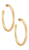 Casa Clara Annie Hoop Earring In Gold
