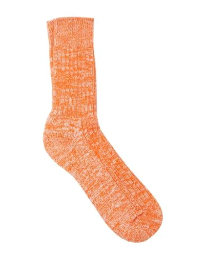 Albam Short Socks In Orange