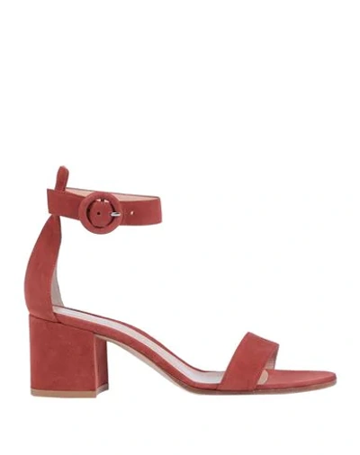 Gianvito Rossi Sandals In Rust