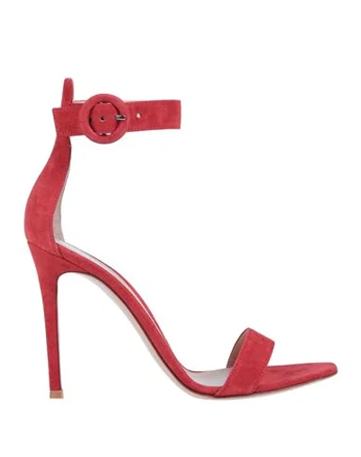 Gianvito Rossi Sandals In Red