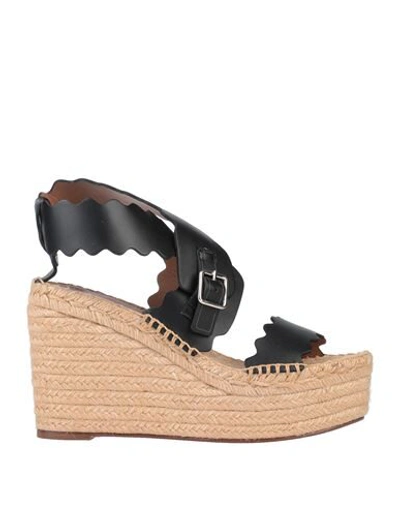 Chloé Espadrilles In Black