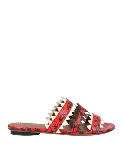 L'autre Chose Sandals In Red