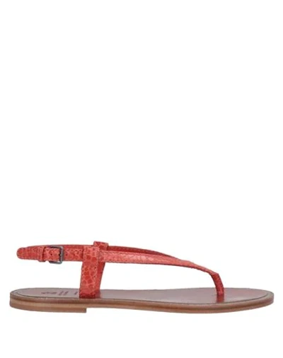 Brunello Cucinelli Toe Strap Sandals In Red