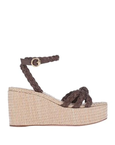 Gianvito Rossi Sandals In Dark Brown