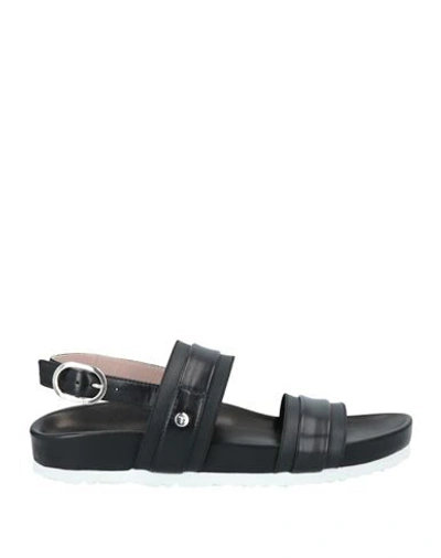 Taryn Rose Sandals In Black