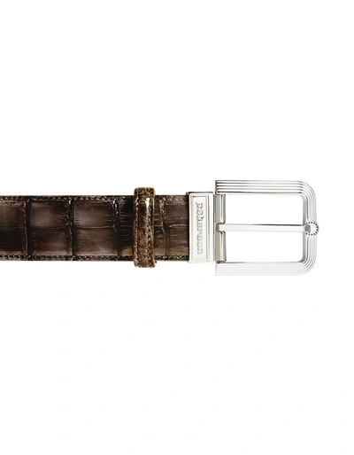 Pakerson Designer Men's Belts Fiesole Coffee Alligator Leather Belt W/ Silver Buckle In Marron