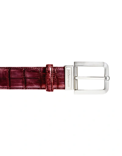 Pakerson Designer Men's Belts Fiesole Wine Red Alligator Leather Belt W/ Silver Buckle In Rouge
