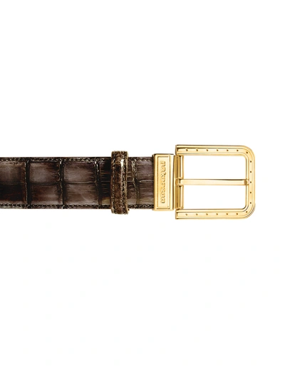 Pakerson Designer Men's Belts Ripa Coffee Alligator Leather Belt W/ Gold Buckle In Marron