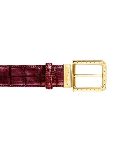 Pakerson Designer Men's Belts Ripa Wine Red Alligator Leather Belt W/ Gold Buckle In Rouge