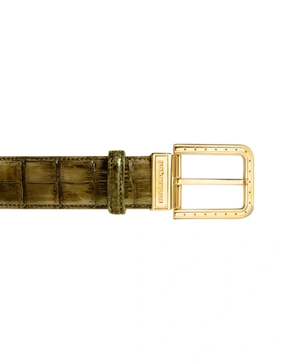 Pakerson Designer Men's Belts Ripa Olive Alligator Leather Belt W/ Gold Buckle In Vert