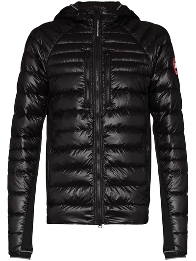 Canada Goose Black Hybridge Lite Padded Jacket