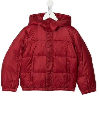 Emporio Armani Kids' Hooded Puffer Jacket In Red
