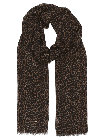 Saint Laurent Scarf In Brown