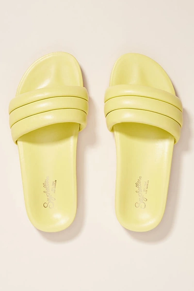 Seychelles Low Key Slide Sandals In Yellow