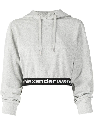 Alexander Wang T Stretch Corduroy Cropped Hoodie With Logo Elastic In Grey