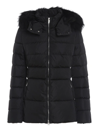 Add Black Quilted Short Puffer Jacket